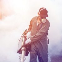 fumigatsya-predp3_0x0_97d